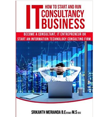 IT Consulting Business